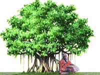 Indian Science Publications